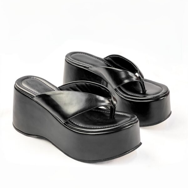 PLT9477 Pampa Preto (2) PLT9477